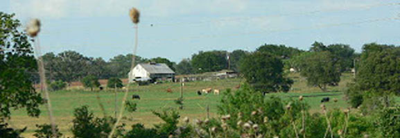 across-the-road-from-tilmon-house